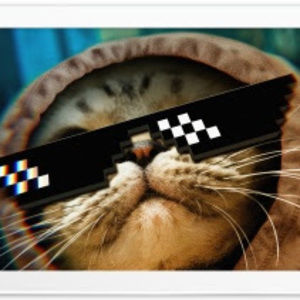 Meet your Posher, Krista